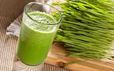 Celery Wheatgrass Juice