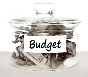 Budget Juicing