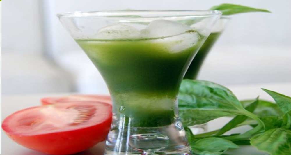 Apple Holy Basil Tomato Cilantro Elixir